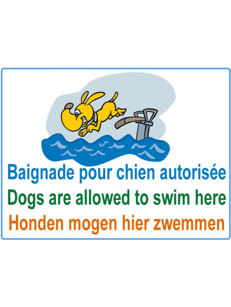 Panneau baignade pour chien autorisée, chien qui plonge
